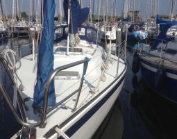 Spirit 29