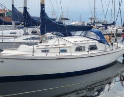 Fellowship 28