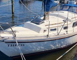 Fellowship 28