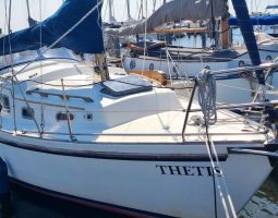 Fellowship 28