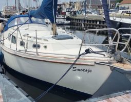 Fellowship 28