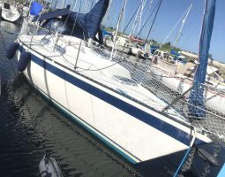 Spirit 29