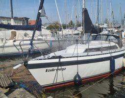 Friendship 28
