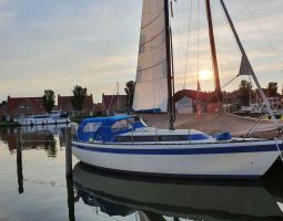 Friendship 28