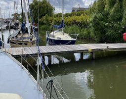 Koopmans 30