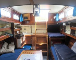 Koopmans 30