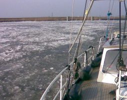 Gouwzee 42