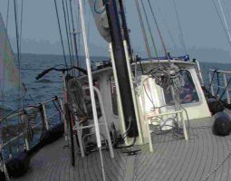 Gouwzee 42