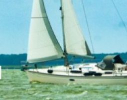 Bavaria 35/3